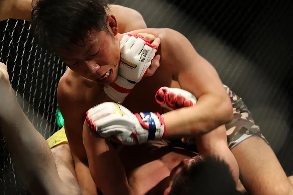 MMA gloves being used by fighters.