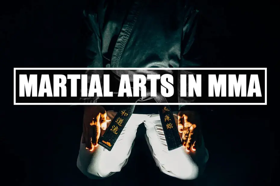 We find out what martial arts are used in MMA.