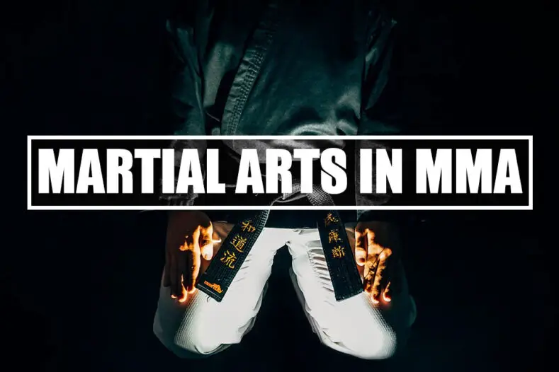 We find out what martial arts are used in MMA.