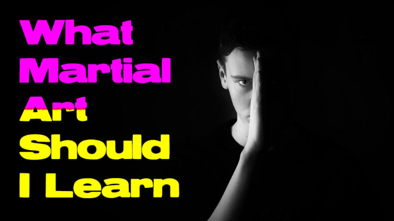A guide to what martial art I should learn.