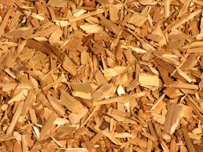 Cedar chips spread on the ground that can be used to dry the boxing gloves.